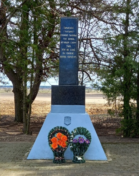 Памятник погибщим  в годы ВОВ в деревне Острововк